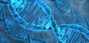 Genesis Metabolics