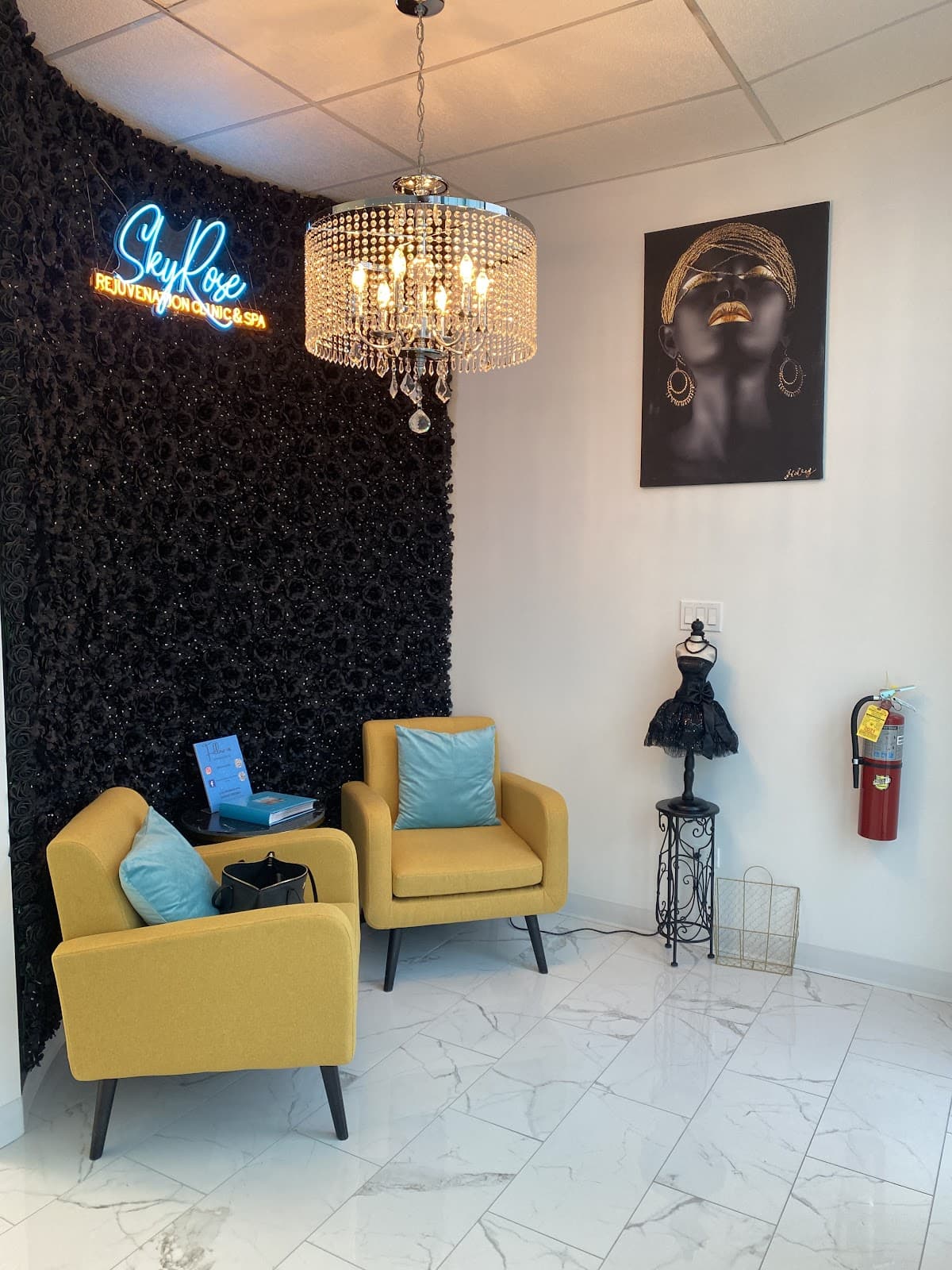 SkyRose Rejuvenation Clinic & Spa PLLC - clinic photo