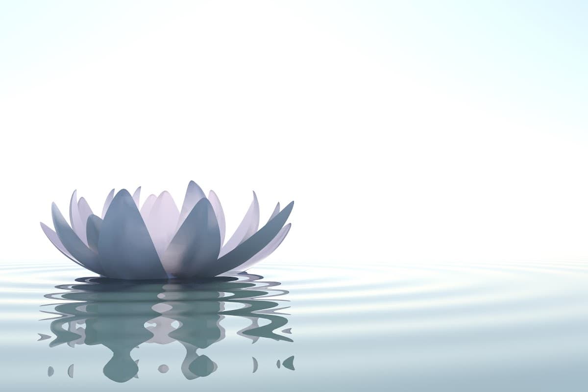 Bliss Medical Spa and Wellness - clinic photo