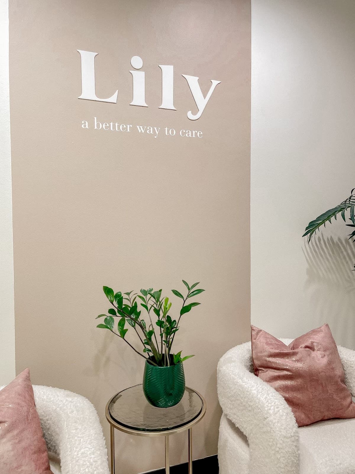 Lily Primary Care by Dr. Adesola Oyewole - clinic photo