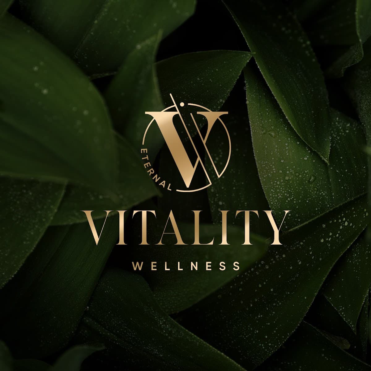 Vitality Eternal Med Spa in Chicago, Illinois - clinic photo