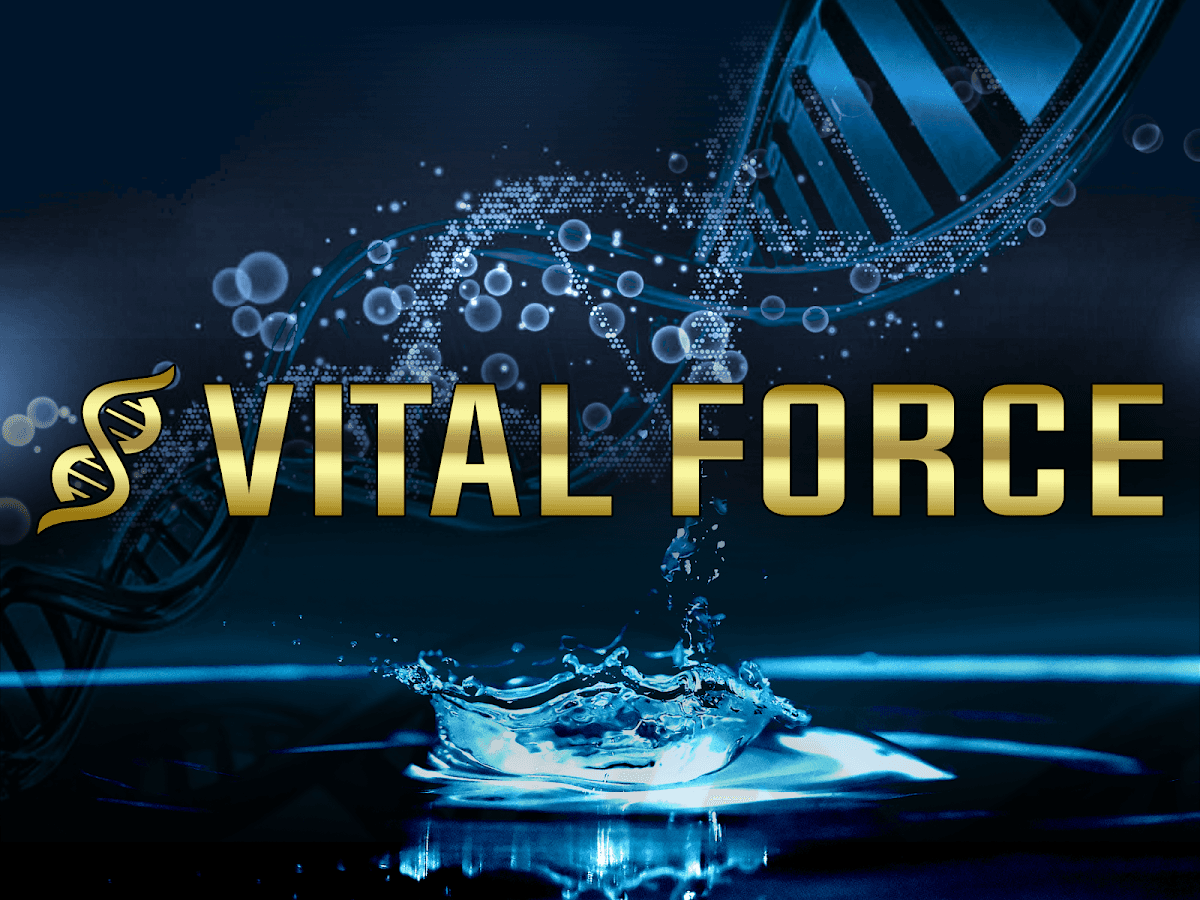 Vital Force Therapy and Wellness - clinic photo