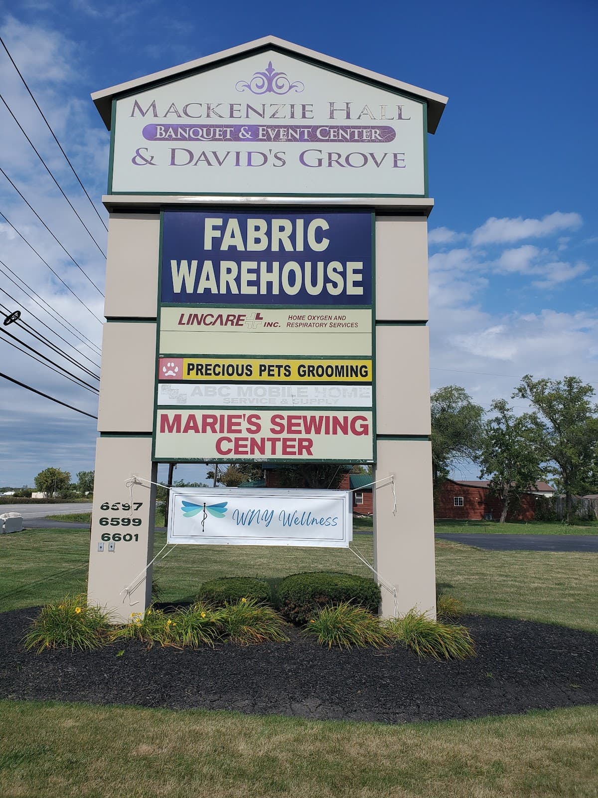 WNY WELLNESS- Lockport, NY - clinic photo