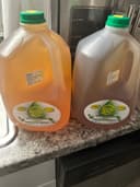 Get & Stay Healthy 4Life