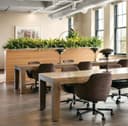 Integrated Wellness New York